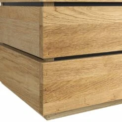 OUTLIV. Flora Pflanzgefäß 120x41x40cm Wildeiche -Outliv outliv by detlef steves flora pflanzgefaess 120x41x40cm wildeiche 1354103 4