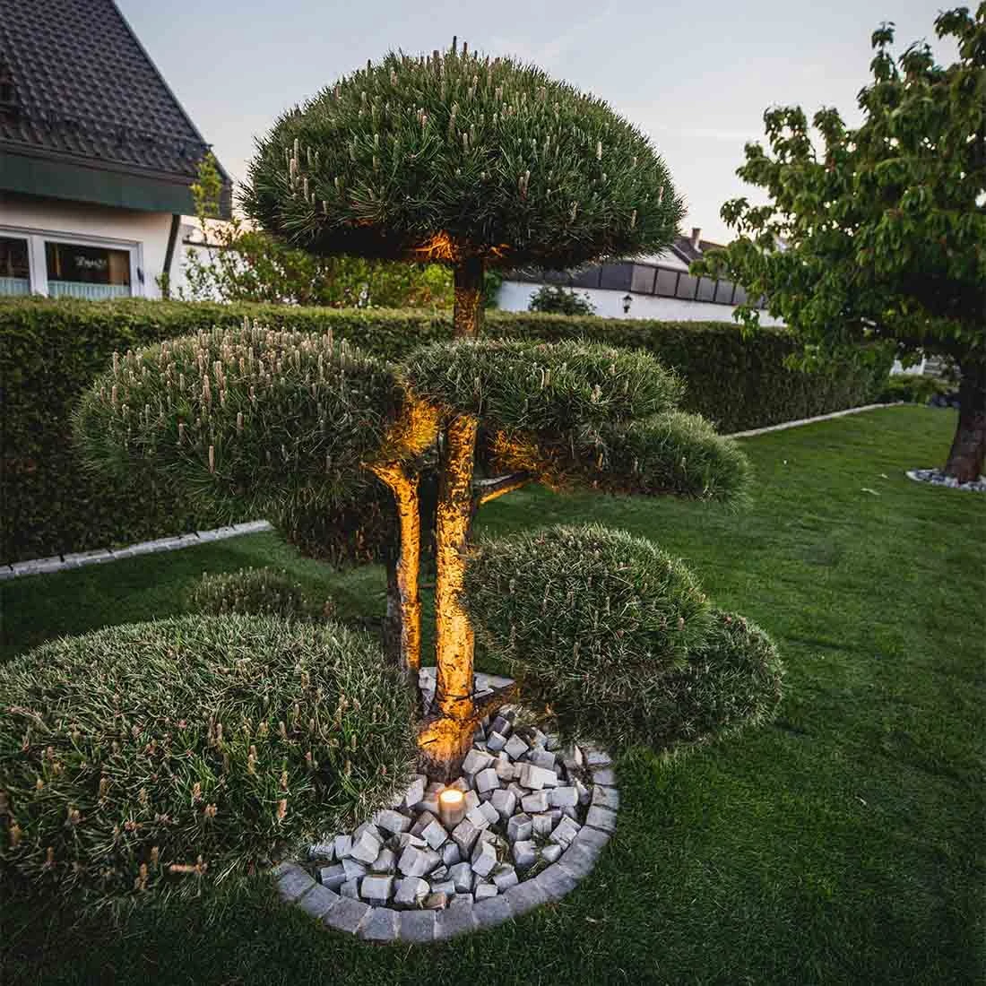 OUTLIV. Smart Light Starter -Set Wifi-Set: 3 RGB-Spots Silber/Schwarz OUTLIV. Smart Light Starter -Set Wifi-Set: 3 RGB-Spots Silber/Schwarz -Outliv outliv starter set wifi set 3 rgb spots silber schwarz 1303943 7